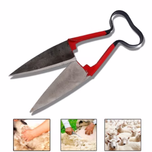 Tesoura Crina/tosquia Ovelhas Corneta 10 Original