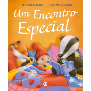 Livro - Um encontro especial - Capa comum