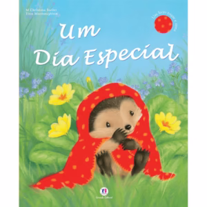 Livro - Um dia especial - Capa comum