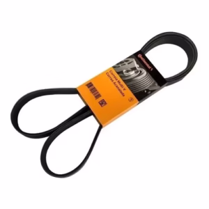 Correia Polyv 5pk 1105 Fiat Palio 1.5 Mpi 96/97 7700107493