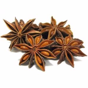 ANIS ESTRELADO PARA CHÁ 100g PROMOÇÃO