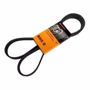 Correia Poly V Ford Fiesta 03/... Ecosport 1.0 1.6 Completa