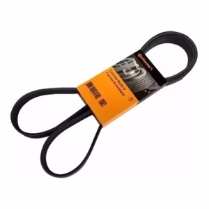 Correia Poly V Alternador Astra Vectra Flex 05 A 12