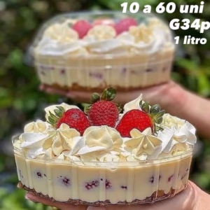 10~60  EMBALAGEM MINI COLOMBA C/ TAMPA PARA MOUSSE SALADA G34P GALVANOTEK 19X14,5X8,2CM