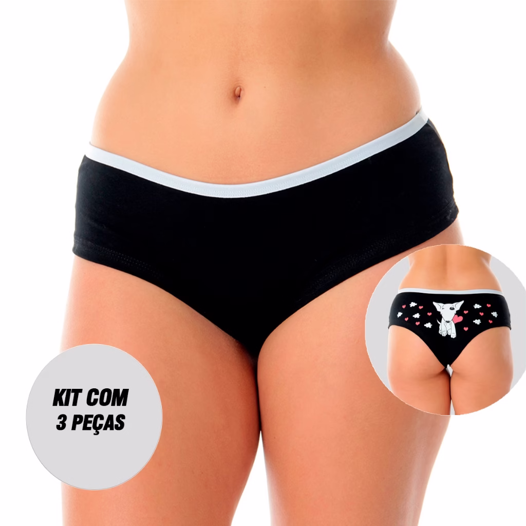 KIT 3 Calcinhas Algodão Sula Lingerie Moda Feminina Íntima