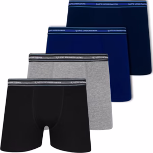 Kit 4 Cuecas Lupo Boxer Em Algodão Respirável Masculino Adulto Pacote Cueca Box Confortável Original