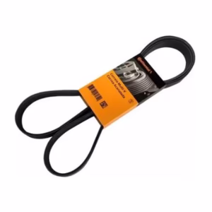 Correia Poly V Corolla 1.8 16v 2009 Em Diante Original