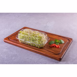 10 Embalagem Vitrine para frutas, verduras e legumes hortifrúti FLV  com furo Ref.: G 10 c/ Furos